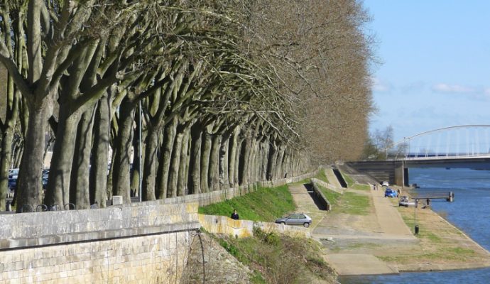 La Ville veut animer le quai Monge