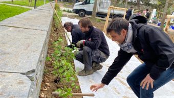 Angers Loire Habitat et la Ligue de protection des oiseaux s’associent pour plus de biodiversité