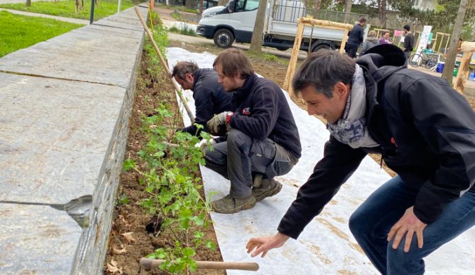 Angers Loire Habitat et la Ligue de protection des oiseaux s’associent pour plus de biodiversité