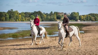 En Anjou, un nouvel itinéraire équestre pour suivre les chemins empruntés par d’Artagnan