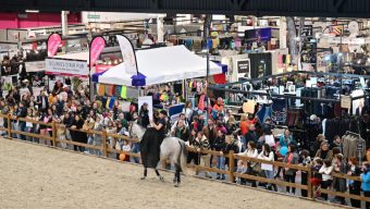 La 8e édition du Salon du cheval se tiendra du 9 au 11 novembre 2024