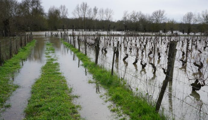 Inondations : plusieurs communes de Maine-et-Loire reconnues en état de catastrophe naturelle