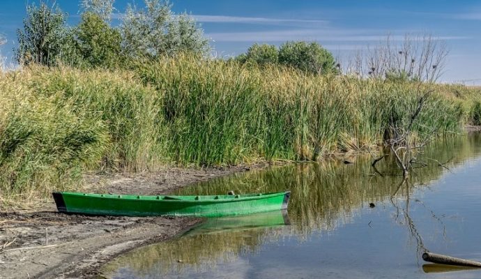 Sécheresse : les bassins du Layon et de la Thau en vigilance