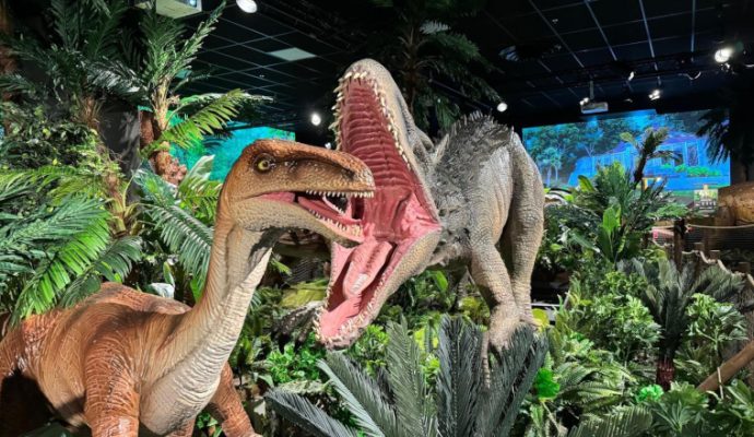 Des dinosaures grandeur nature seront à découvrir au Parc des expositions