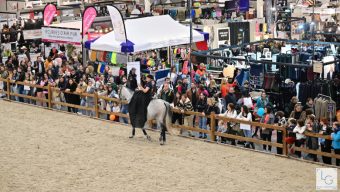 Le Salon du Cheval d’Angers revient en novembre pour sa huitième édition