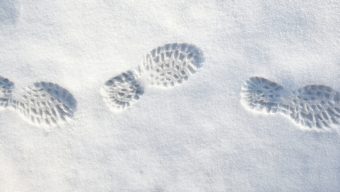 Bus, trains, déchèteries… La neige et le verglas perturbent fortement les déplacements à Angers