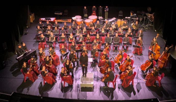 La cité scolaire David d’Angers abrite un orchestre symphonique unique en son genre