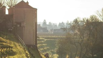 Les vignes du clos Saint-Nicolas s’ouvrent au public