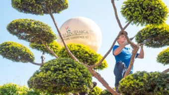 Terra Botanica recherche près de 200 saisonniers pour sa réouverture