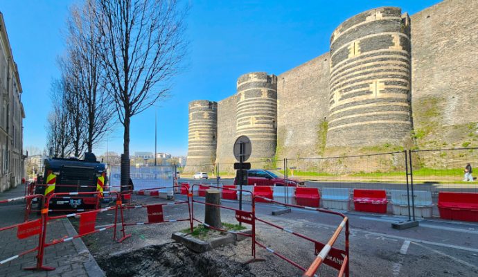 Une association déplore l’abattage de cinq arbres près du château d’Angers