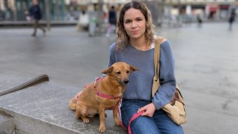 Une boutique pour les amoureux des chiens arrive à Angers