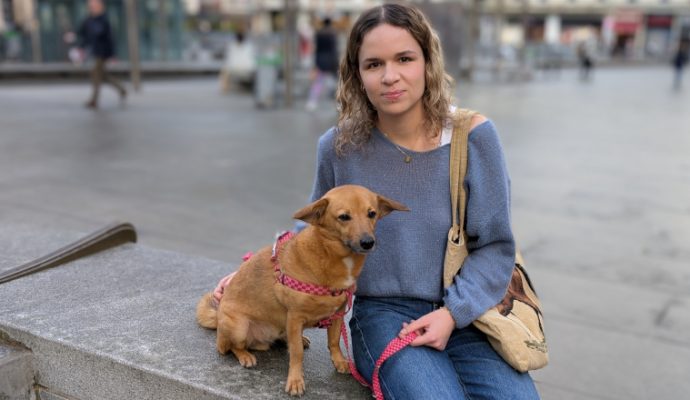 Une boutique pour les amoureux des chiens arrive à Angers