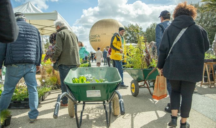 Vente éphémère, concerts, Terra Botanica… Nos idées de sorties pour ce week-end à Angers