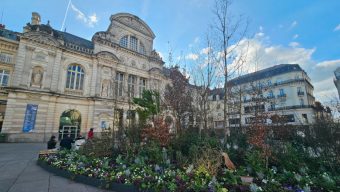 La place du Ralliement se pare d’un jardin éphémère