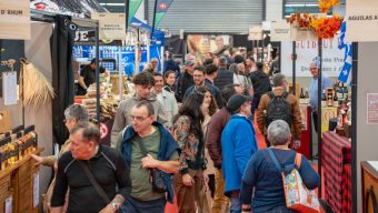 Près de 38 000 visiteurs pour l’édition 2025 de la Foire d’Angers