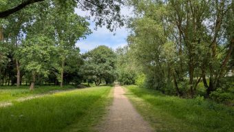 Municipales : quelles sont les propositions de Christophe Béchu et de Romain Laveau en matière de transition écologique ?