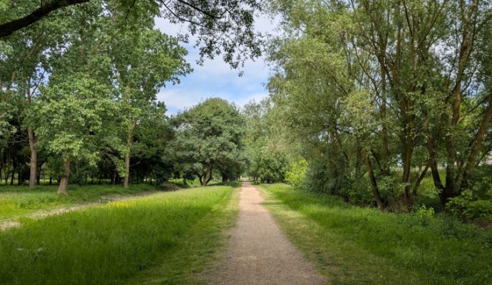 Municipales : quelles sont les propositions de Christophe Béchu et de Romain Laveau en matière de transition écologique ?