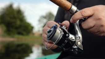 Visé par une pétition, le Decathlon des Ponts-de-Cé a cessé de vendre des poissons vivants