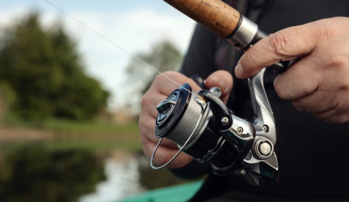 Visé par une pétition, le Decathlon des Ponts-de-Cé a cessé de vendre des poissons vivants