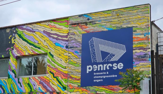 Bières, champignons, kombuchas… Cette brasserie pas comme les autres s’ouvre au public