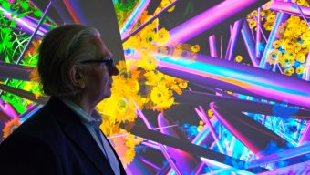 Une exposition interactive entre nature et numérique s’invite au musée des Beaux-Arts