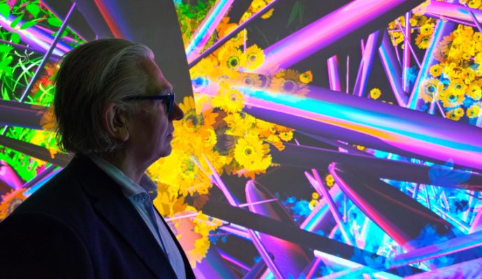 Une exposition interactive entre nature et numérique s’invite au musée des Beaux-Arts