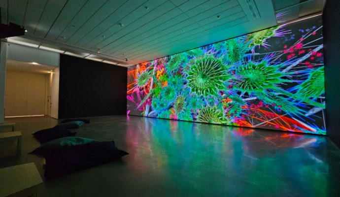 Expositions, spectacles, salon… Nos idées de sorties pour ce week-end à Angers