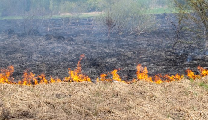 Réchauffement climatique : « Le nombre de jours dépassant les 35°C pourrait être multiplié par quatre d’ici 2050 »
