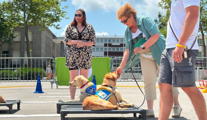 Les Chiens Guides d’Aveugles de l’Ouest célèbrent un demi-siècle d’engagement à Angers