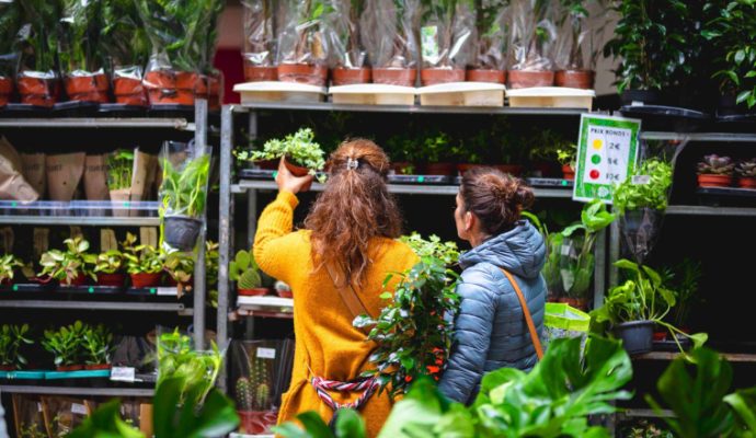 Une grande vente de plantes organisée aux Galeries Lafayette d’Angers