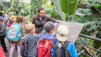Terra Botanica organise un job dating avec plus de 100 postes à pourvoir pour sa prochaine saison