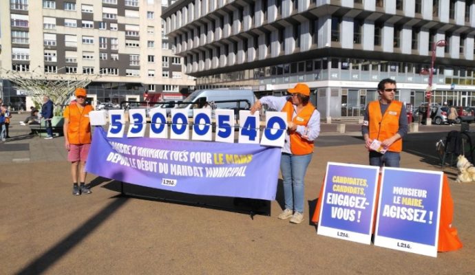 Municipales : l&rsquo;association L214 interpelle les candidats sur « la réduction du nombre d’animaux tués pour la consommation alimentaire de la ville »