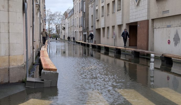 La Maine poursuit sa hausse : la Ville d’Angers met en place de nouvelles mesures de sécurité