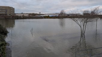 Pour lutter contre les inondations, des élus locaux invités à découvrir le parc Saint-Serge