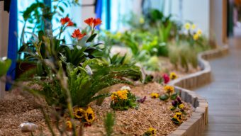L’Exposition Florale de retour à Angers ce week-end