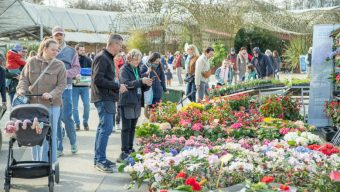 Les Printemps de Terra font leur retour, avec un grand marché aux plantes