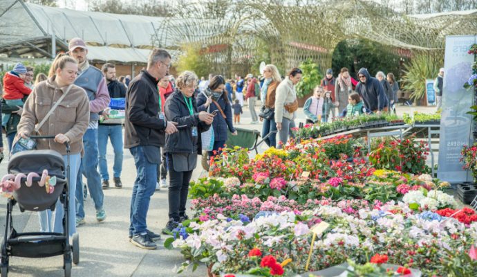 Les Printemps de Terra font leur retour, avec un grand marché aux plantes