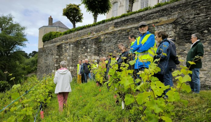 Un week-end pour découvrir l’agriculture urbaine à Angers