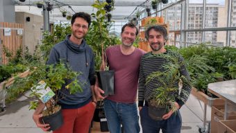 Un marché aux plantes et un café ouvrent dans une serre perchée sur un toit d’Angers