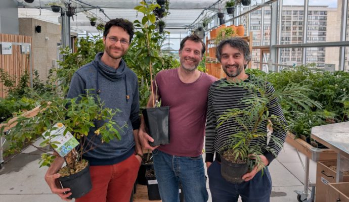 Un marché aux plantes et un café ouvrent dans une serre perchée sur un toit d’Angers