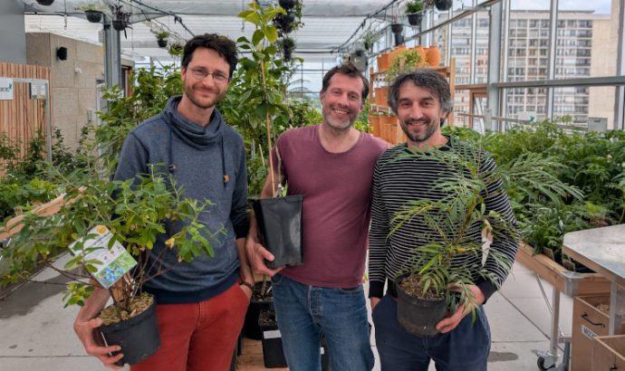 Un marché aux plantes et un café ouvrent dans une serre perchée sur un toit d’Angers