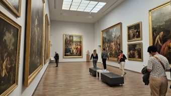 Fête de la Nature, Nuit européenne des musées… Nos idées de sorties pour ce week-end à Angers