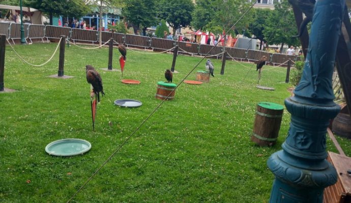 « Cela n’a plus sa place dans un divertissement » : une association dénonce la présence d&rsquo;animaux sauvages dans un spectacle prévu aux Ponts-de-Cé