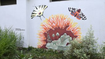 Dans cette résidence angevine, la tapisserie de l’Apocalypse réinterprétée par une peintre locale