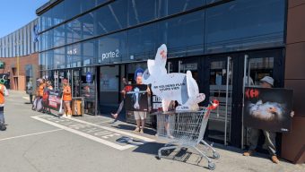 Les militants de L214 se sont mobilisés devant Carrefour Saint-Serge pour dénoncer l&rsquo;élevage intensif